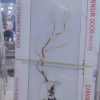 China Double Tempered Aluminium Glass door - 1004 - Image 2