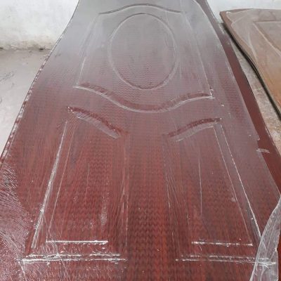 Design Flush Door 1004