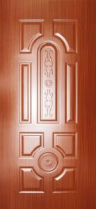 Design Flush Door