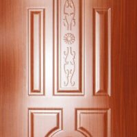 Design Flush Door 1001