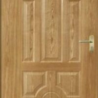 Design Flush Door 1009