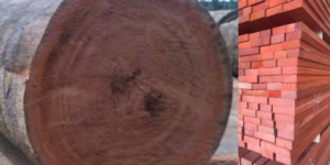 Azobe (Loha) wood door frame