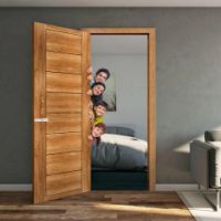RFL UPVC Cosmic Door Venut