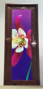 PVC Full Glass Door