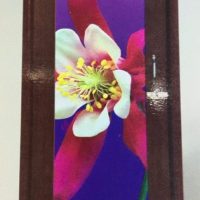 PVC Full Glass Door 10016