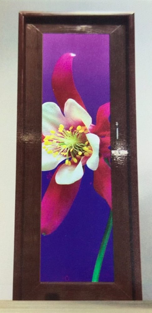 PVC Full Glass Door