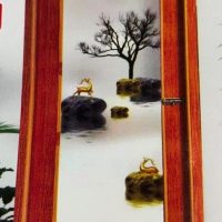 PVC Full Glass Door 10015