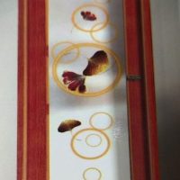 PVC Full Glass Door 10010