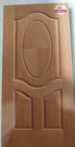 Design Flush Door