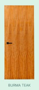 Akiz Flush Door