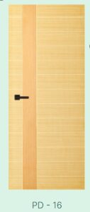 Akiz Flush Door PD 16