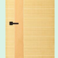 Akiz Flush Door PD 16
