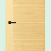 Akiz Flush Door PD 18
