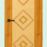 Akiz Flush Door PD 24
