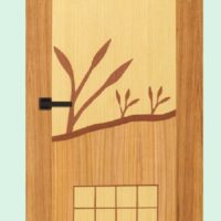 Akiz Flush Door PD 27