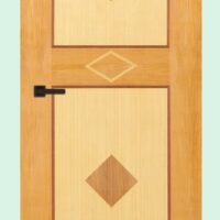 Akiz Flush Door PD 31