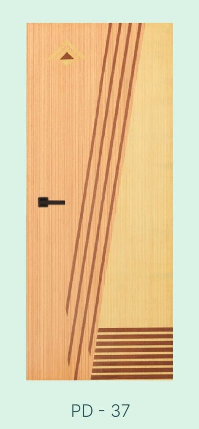 Akiz Flush Door PD 37