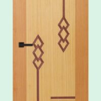 Akiz Flush Door PD 39