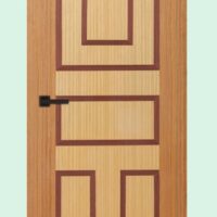 Akiz Flush Door PD 40