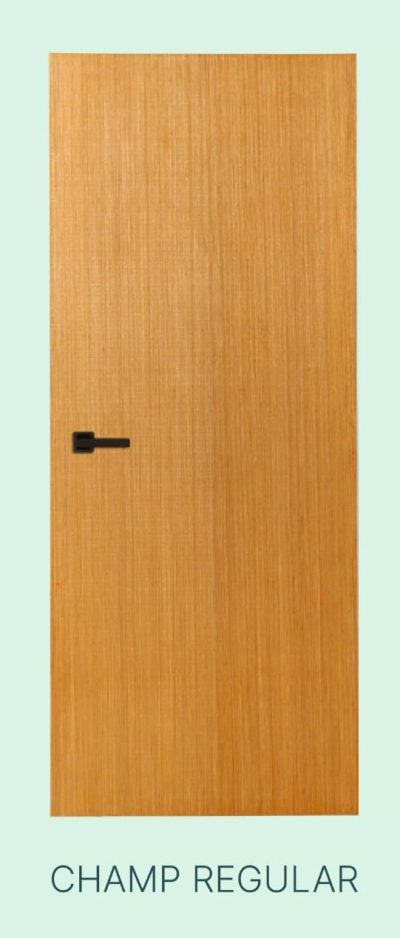 Akiz Flush Door