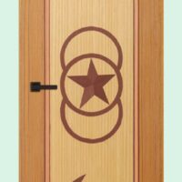 Akiz Flush Door PD 49