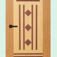 Akiz Flush Door PD 51