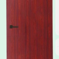 Akiz Flush Door Hpl Terra Maple