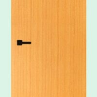 Akiz Flush Door Hpl Oak