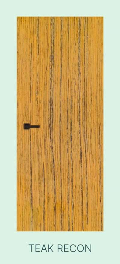 Akiz Flush Door
