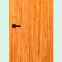 Akiz Flush Door Hpl Walnut