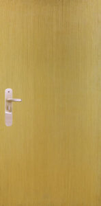 Super Board Flush Door Champ Gold