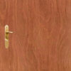 Super Board Flush Door Gorjon
