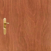 Super Board Flush Door Gorjon