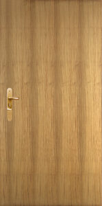 Super Board Flush Door Teak Champ
