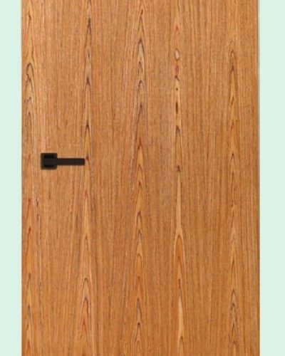 Akiz Flush Doors